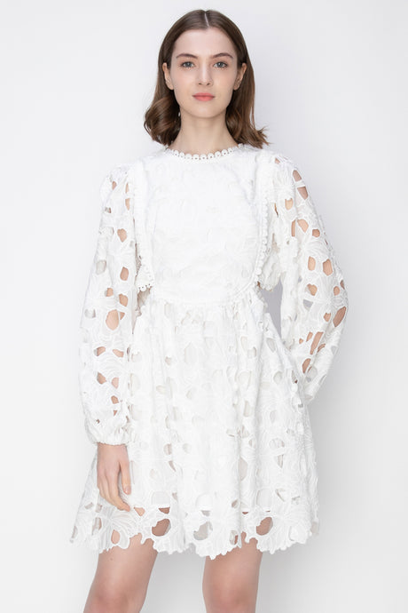 Crewneck Lace Crochet Eyelet Mini Dress
