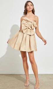 Bow Front Skater Dress