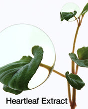 Load image into Gallery viewer, HEARTLEAF 70% DAILY LOTION