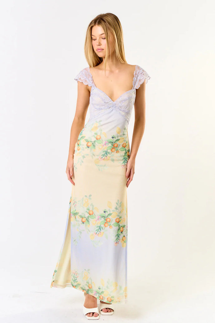 Mesh Floral Lace Maxi Dress