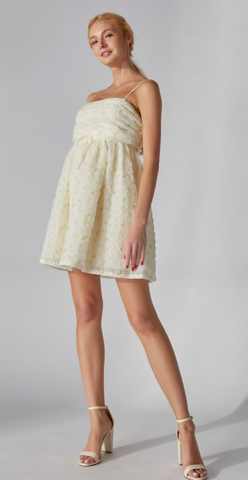 Textured Floral Sleeveless Babydoll Mini Dress